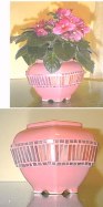 Oriental Pink Pot